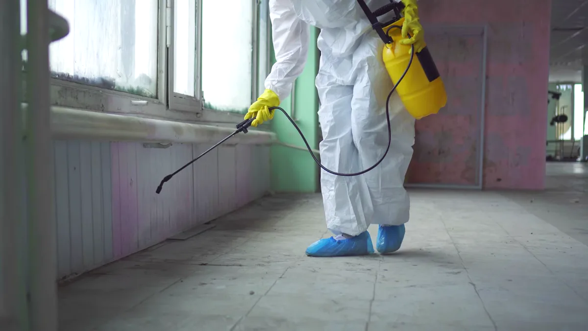Control de aves en Mollet del Vallès — Fumigaciones Mollet