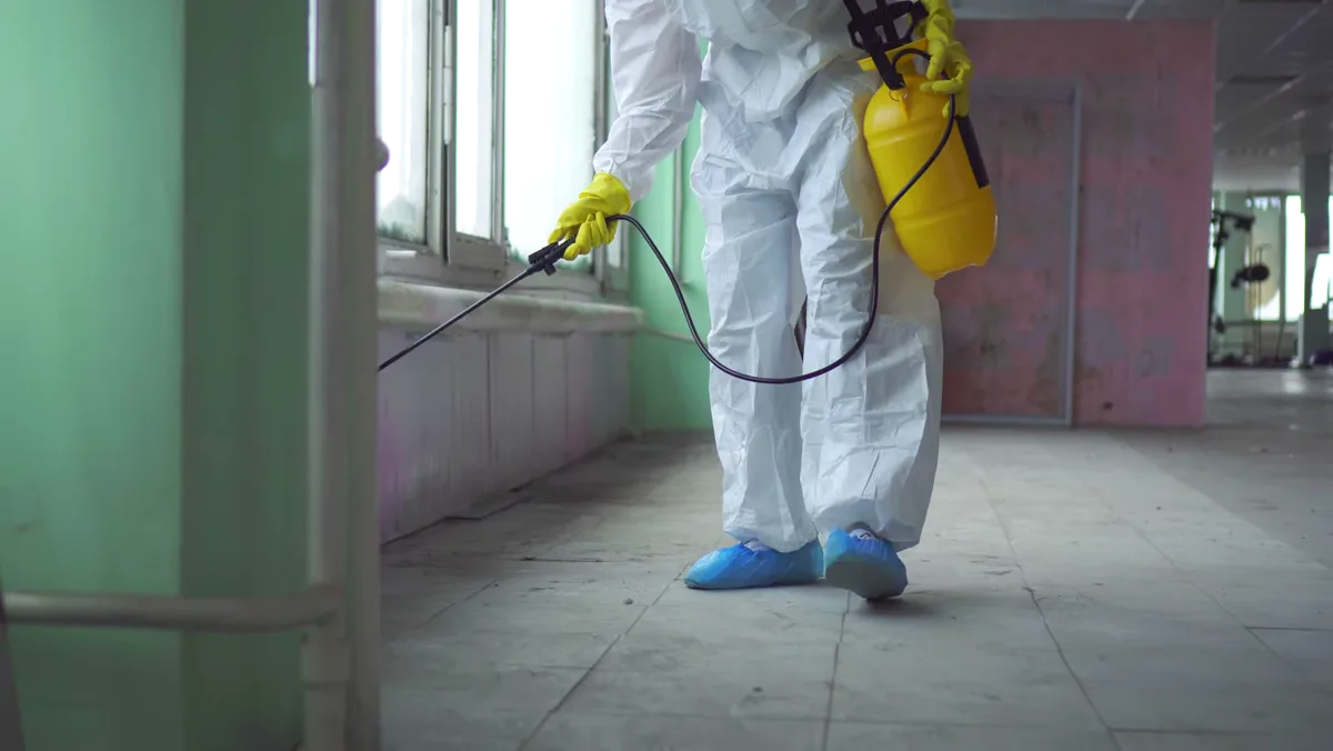 Tratamiento de avispa asiática en Mollet del Vallès — Fumigaciones Mollet